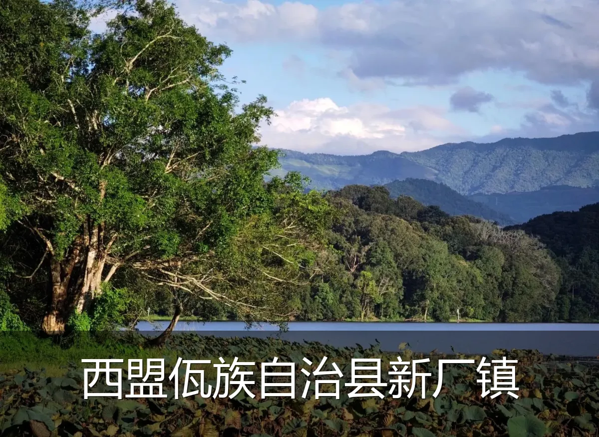 西盟佤族自治县新厂镇