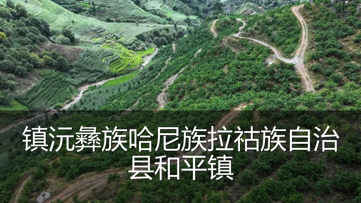 镇沅彝族哈尼族拉祜族自治县和平镇