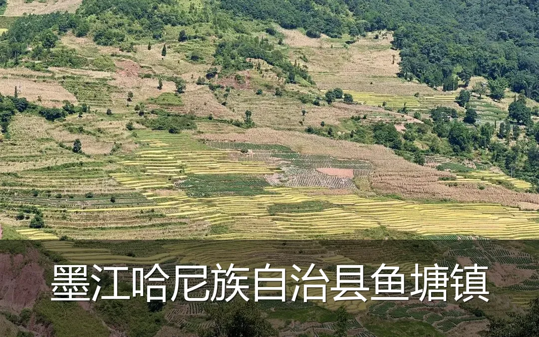 墨江哈尼族自治县鱼塘镇