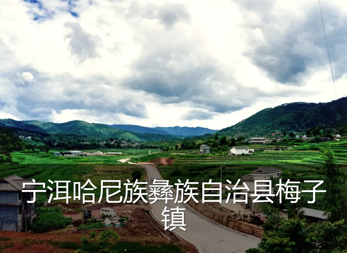 宁洱哈尼族彝族自治县梅子镇