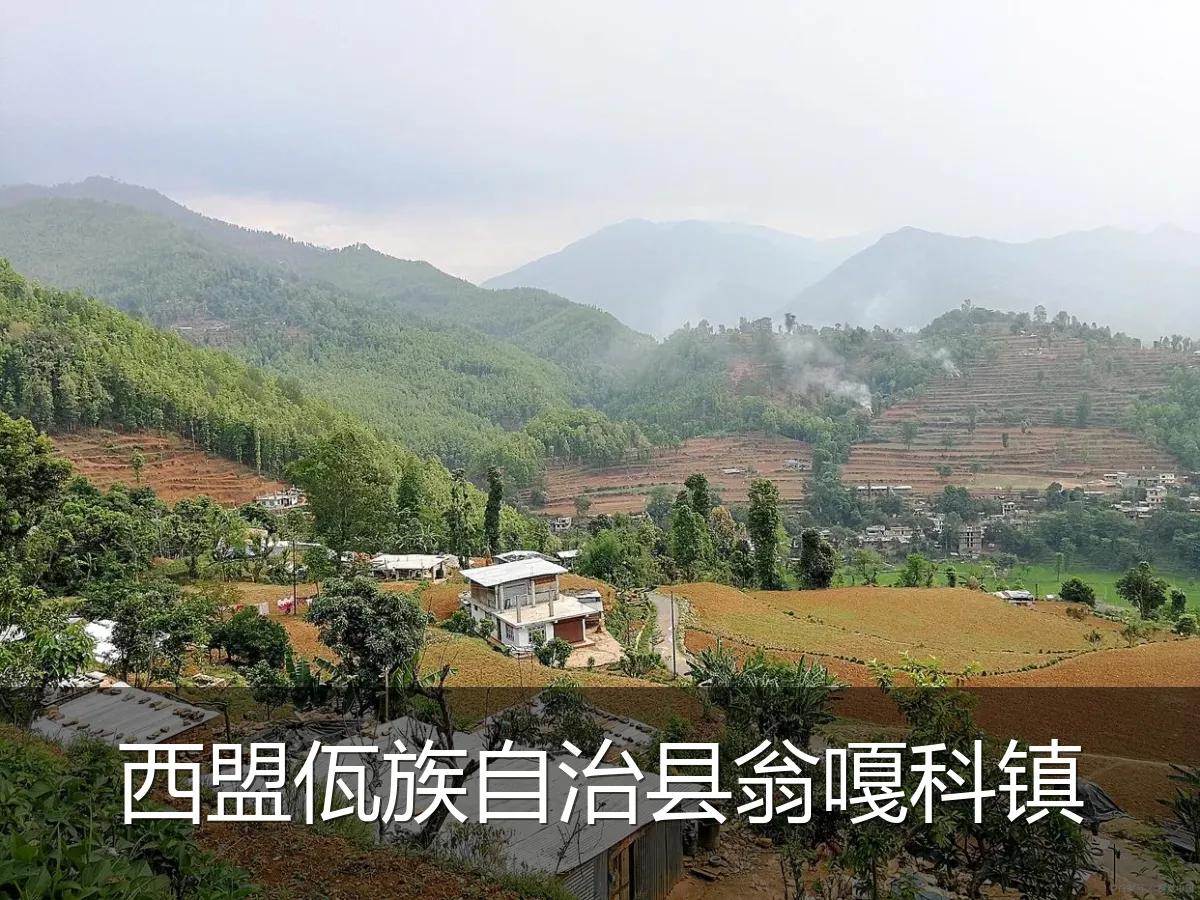 西盟佤族自治县翁嘎科镇